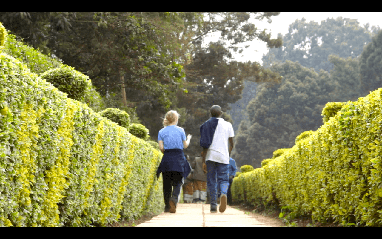 Kenya Vlog 12 & 13 - Final Days